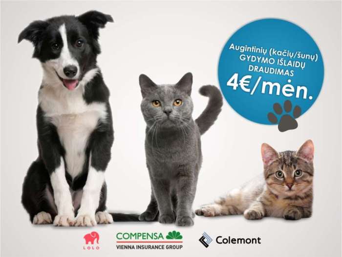 Veterinarijos klinika Kaune | Gyvūnų draudimas